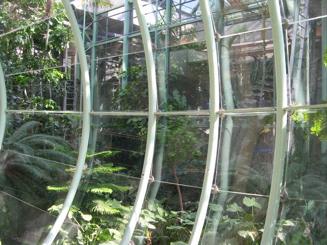  Végétation luxuriante sous les serres du forum des Halles